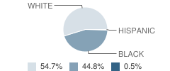 Foundation Academy Student Race Distribution