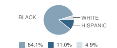 Columbus Collegiate Academy Student Race Distribution