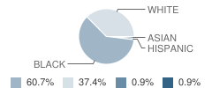 Knight Academy Student Race Distribution