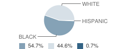 Mansfield Community School Student Race Distribution