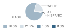 Ralph C Starkey (Cjcf) School Student Race Distribution