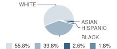Fairlawn Elementary School Student Race Distribution