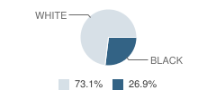 Fairmount Elementary School Student Race Distribution