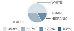 Campbell Elementary School Student Race Distribution