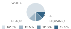 Southeast Career Center School Student Race Distribution