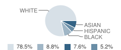 Hopewell Junior School Student Race Distribution