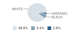 West Boulevard Elementary School Student Race Distribution