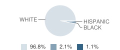 Antwerp Local Middle School Student Race Distribution