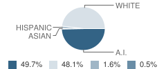 Wyandotte Middle School Student Race Distribution