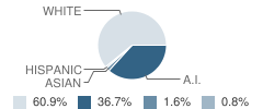 Morrison Middle School Student Race Distribution