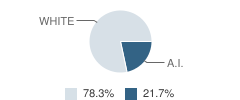 Yuba Elementary School Student Race Distribution