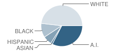 Rector Johnson Middle School Student Race Distribution