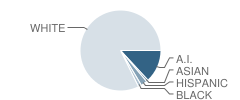 Cleveland Middle School Student Race Distribution