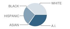 Commerce Middle School Student Race Distribution