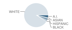 Chamberlain Middle School Student Race Distribution