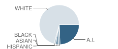 Geronimo High School Student Race Distribution