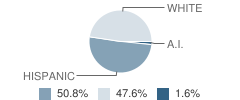 Hardesty Elementary School Student Race Distribution