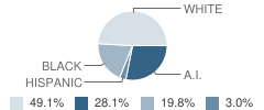 Hugo Intermediate School (Is) Student Race Distribution