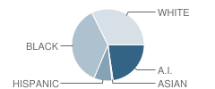 George Elementary School Student Race Distribution