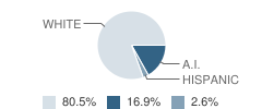 Deer Creek-Lamont High School Student Race Distribution