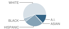 Marietta High School Student Race Distribution