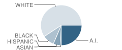 Puterbaugh Middle School Student Race Distribution