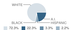 Meeker Middle School Student Race Distribution