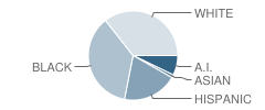 Emerson Alternative Education (Hs) School Student Race Distribution