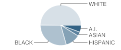 Independence Charter Middle School Student Race Distribution