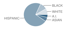 Astec Charter Middle School Student Race Distribution