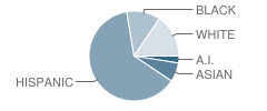 Dove Science Academy (Okc) Student Race Distribution