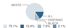 Prague Middle School Student Race Distribution