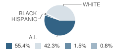 Stringtown Elementary School Student Race Distribution