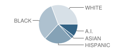 Nathan Hale High School Student Race Distribution