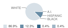 Vici Elementary School Student Race Distribution