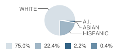 Bonanza Elementary School Student Race Distribution