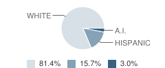 Bonanza Junior / Senior High School Student Race Distribution