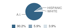 Nixyaawii Community School Student Race Distribution