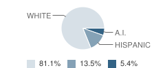 Monroe School Student Race Distribution