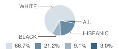 Riverbend Yac School Student Race Distribution