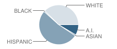 Buff Elementary School Student Race Distribution