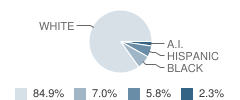 Gresham-Barlow Web Academy Public Charter Student Race Distribution