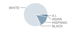 Neah-Kah-Nie Middle School Student Race Distribution