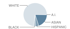 Scouters Mountain Elementary School Student Race Distribution