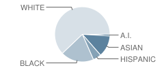 Portland Arthur Academy Charter Student Race Distribution