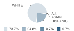 Adrian Elementary School Student Race Distribution