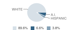 Hines Middle School Student Race Distribution