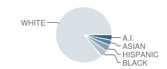 Family School Student Race Distribution