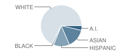 Yujin Gakuen (Japanese) School Student Race Distribution