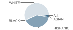 Hermiston High School Student Race Distribution